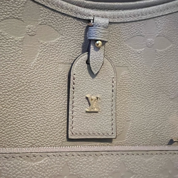 LV CarryAll MM bag in turtle dove - Picture 4 of 13